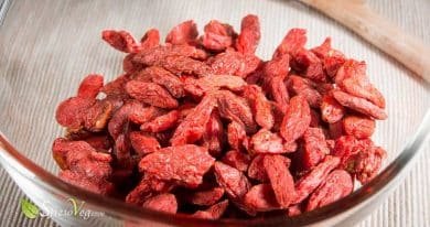 bacche di goji proprietà e benefici