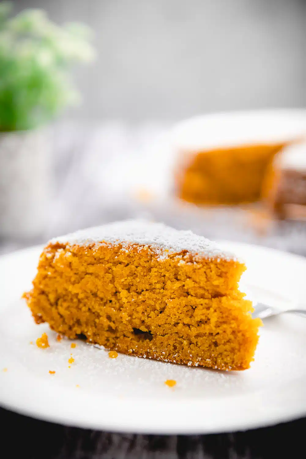 torta alle carote