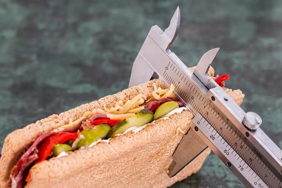 dieta vegana