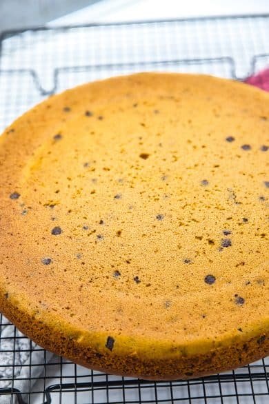 torta zucca e zenzero
