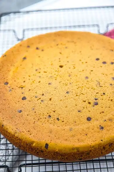 torta zucca e zenzero