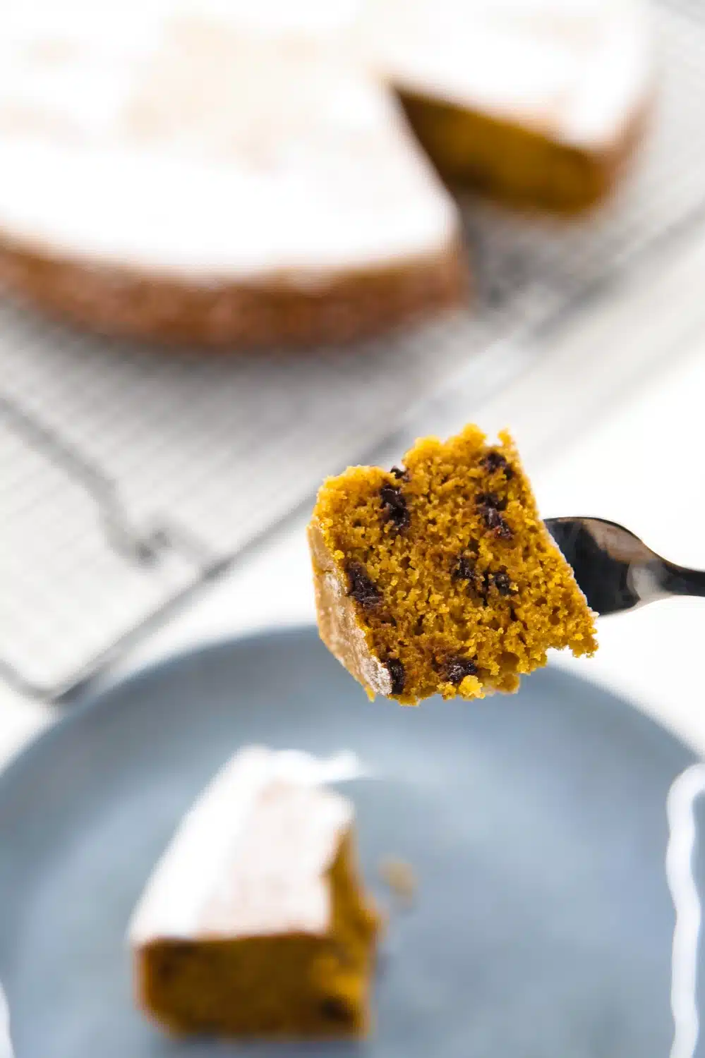 pezzo torta zucca e zenzero