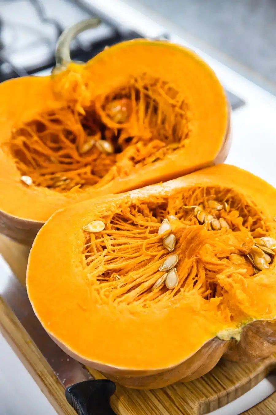 zucca