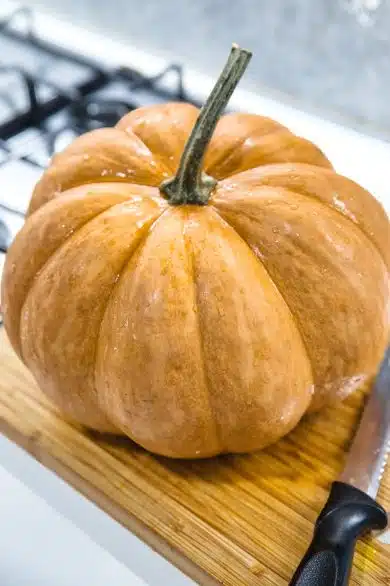 zucca